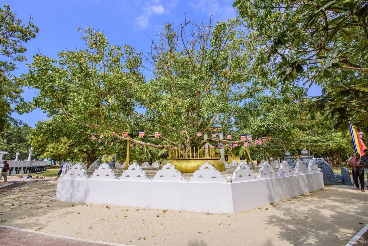 Thambu Illam Hotel Jaffna Eksteriør billede