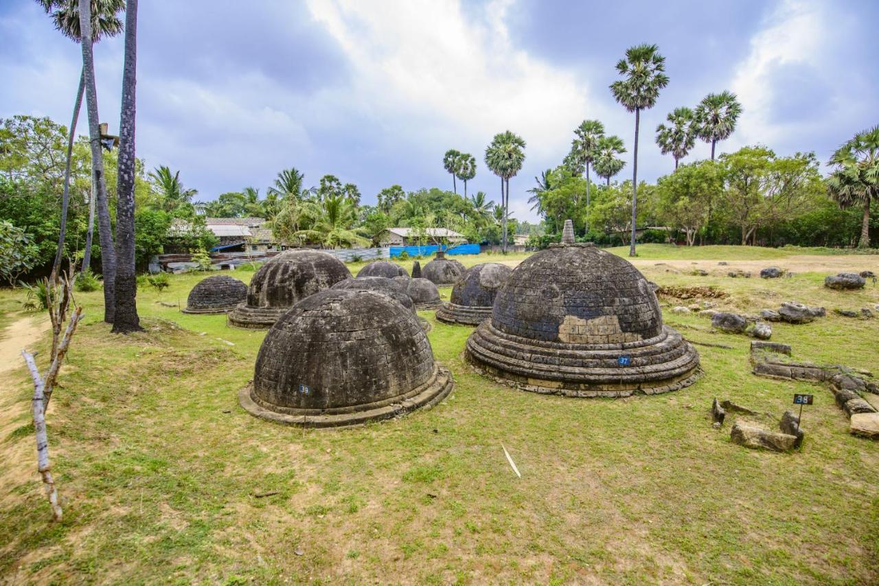 Thambu Illam Hotel Jaffna Eksteriør billede