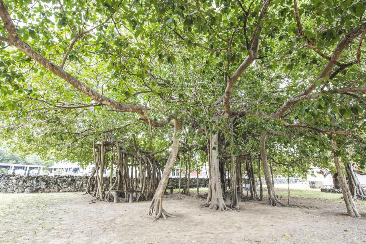 Thambu Illam Hotel Jaffna Eksteriør billede